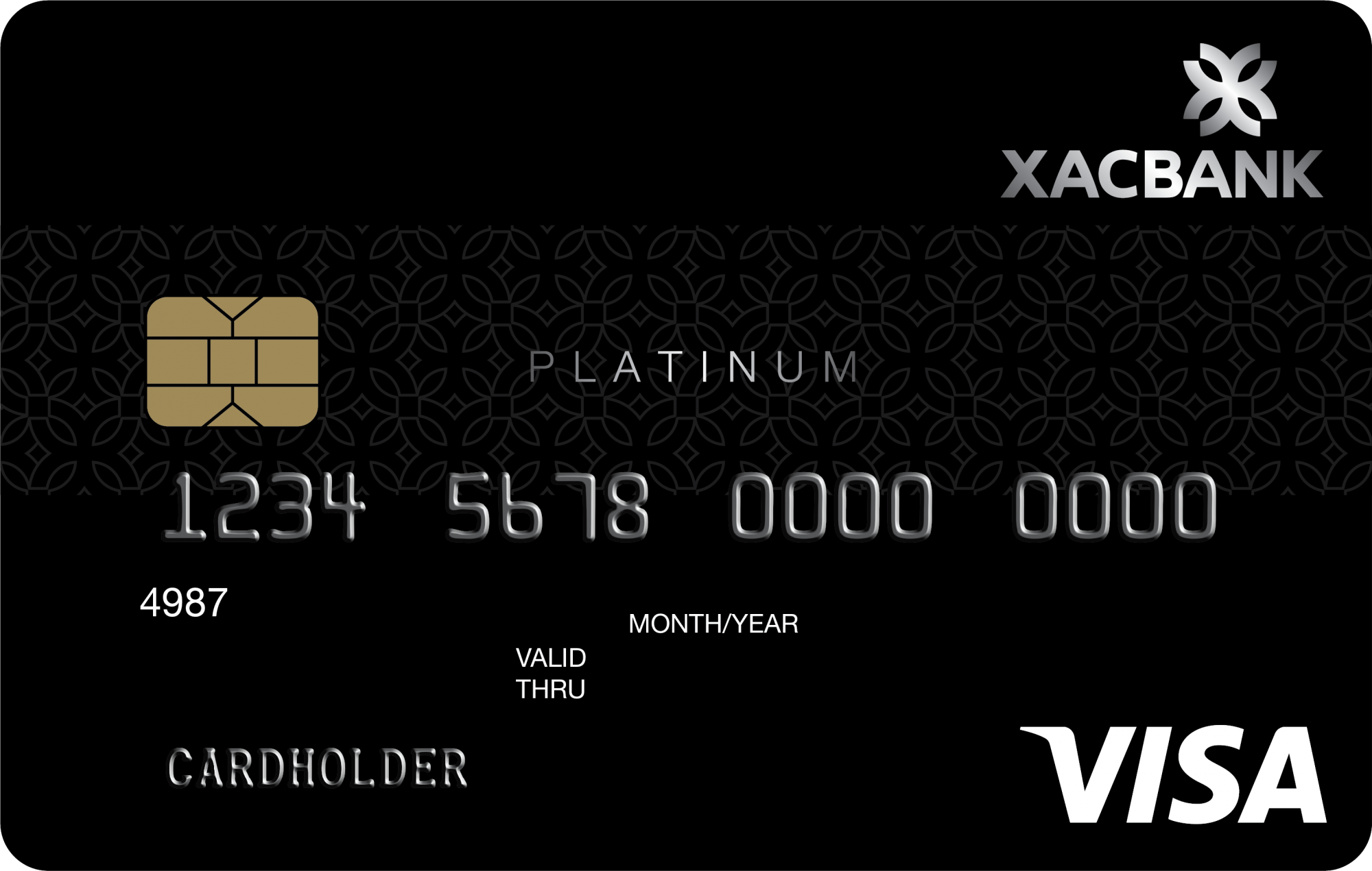 Visa platinum